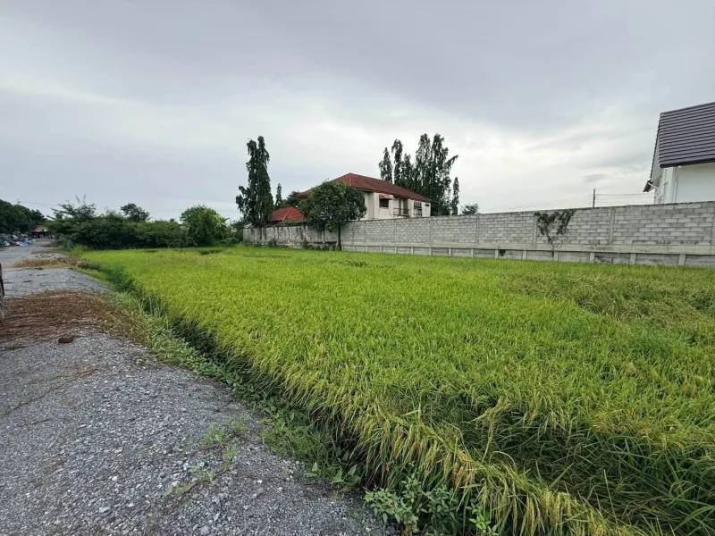 รูปที่4 ต้องการขายที่ดินเปล่า บางใหญ่ บางใหญ่ ราคา 1,500,000 บาท