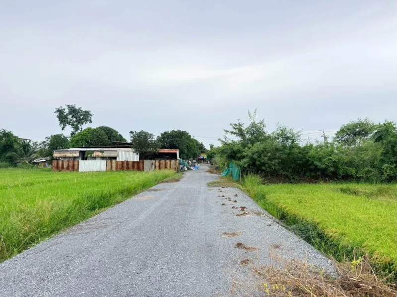 รูปที่5 ต้องการขายที่ดินเปล่า บางใหญ่ บางใหญ่ ราคา 1,500,000 บาท