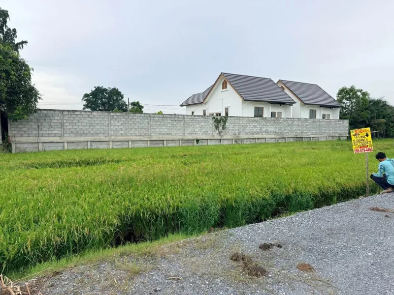 รูปที่8 ต้องการขายที่ดินเปล่า บางใหญ่ บางใหญ่ ราคา 1,500,000 บาท