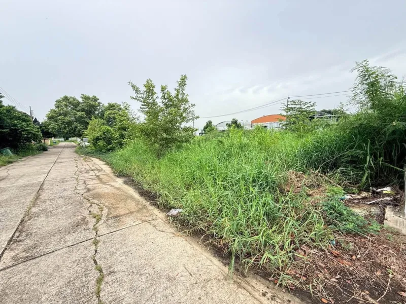 รูปที่5 ต้องการขายที่ดินเปล่า บางพรม เขตตลิ่งชัน ราคา 5,600,000 บาท