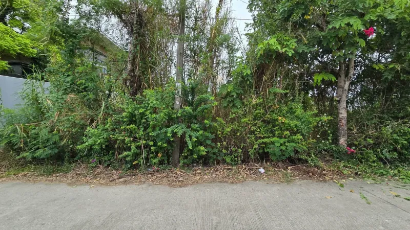 ขายด่วนที่ดินศรีด่าน 100 ตรว ติดถนนคอนกรีตสาธารณะ ซ.พัฒนาชุมชน 29 บางพลี สมุทรปราการ