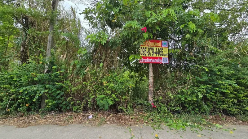 รูปที่7 ต้องการขายที่ดินเปล่า บางแก้ว บางพลี ราคา 4,000,000 บาท