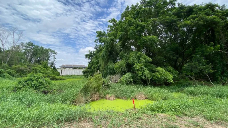 รูปที่5 ต้องการขายที่ดินเปล่า คลองหก คลองหลวง ราคา 3,980,000 บาท