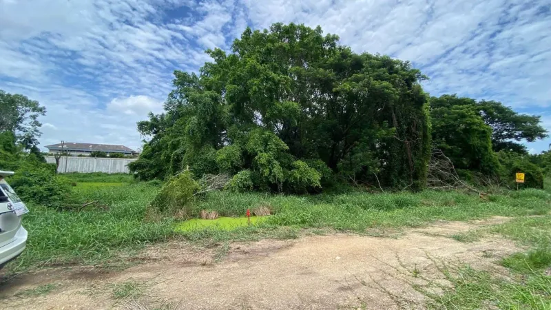 รูปที่7 ต้องการขายที่ดินเปล่า คลองหก คลองหลวง ราคา 3,980,000 บาท