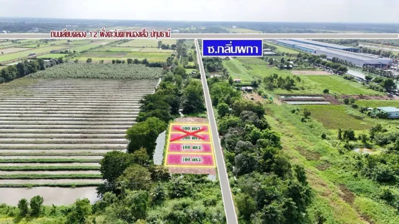 รูปที่7 ต้องการขายที่ดินเปล่า บึงชำอ้อ หนองเสือ ราคา 360,000 บาท