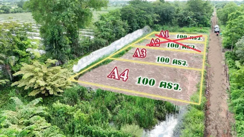 รูปที่8 ต้องการขายที่ดินเปล่า บึงชำอ้อ หนองเสือ ราคา 360,000 บาท