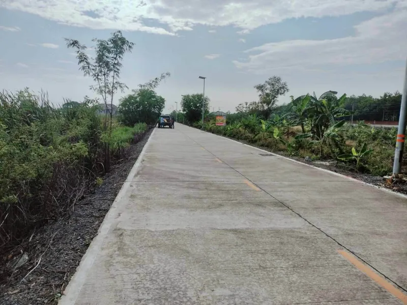 รูปที่3 ต้องการขายที่ดินเปล่า คลองสาม คลองหลวง ราคา 4,500,000 บาท