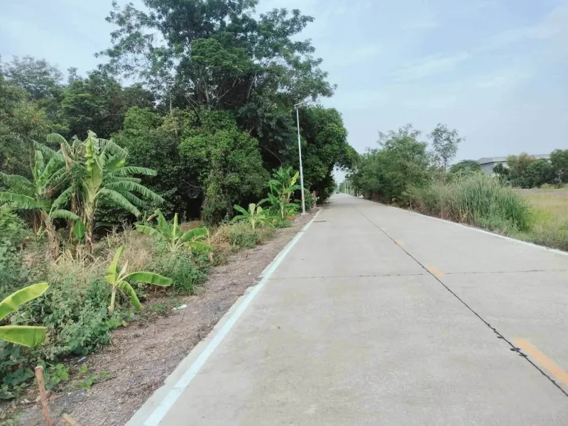 รูปที่5 ต้องการขายที่ดินเปล่า คลองสาม คลองหลวง ราคา 4,500,000 บาท