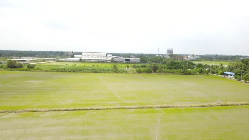 รูปที่2 ต้องการขายที่ดินเปล่า ท่าเสา กระทุ่มแบน ราคา 50,000,000 บาท