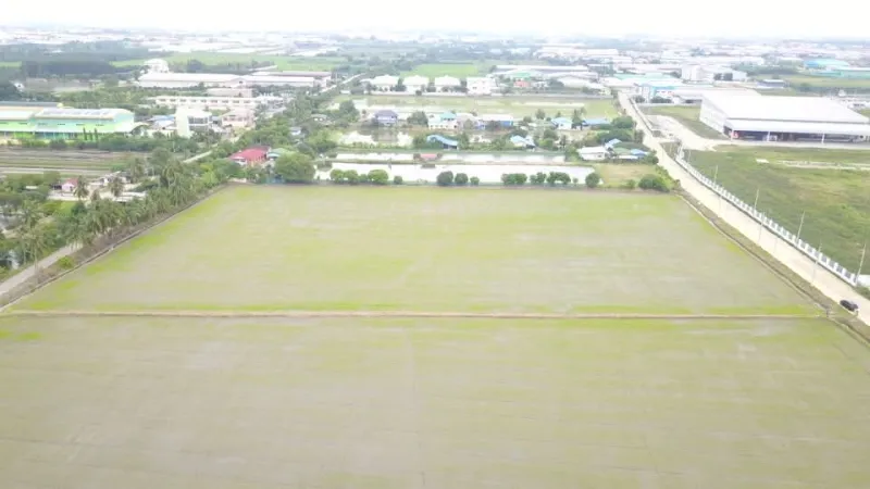 รูปที่3 ต้องการขายที่ดินเปล่า ท่าเสา กระทุ่มแบน ราคา 50,000,000 บาท