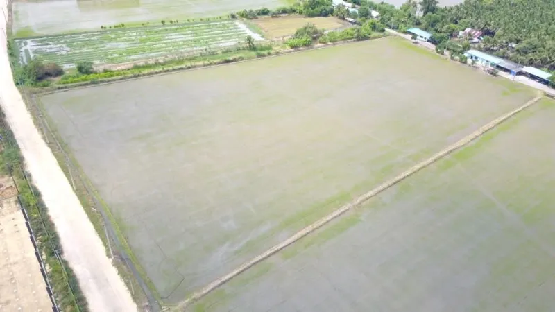 รูปที่4 ต้องการขายที่ดินเปล่า ท่าเสา กระทุ่มแบน ราคา 50,000,000 บาท