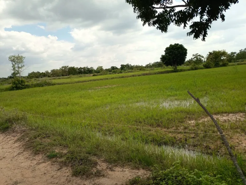 ที่นาสวย**เจ้าของขายเอง**ด้านหน้าติดถนน*ด้านหลังติดเหมืองส่งน้ำ*มีถนนเลียบข้างที่จากด้านหน้าที่ไปหลังที่*เข้าออกได้หลายทาง*2 กม.จากถนน2068 ไร่ละ82,000