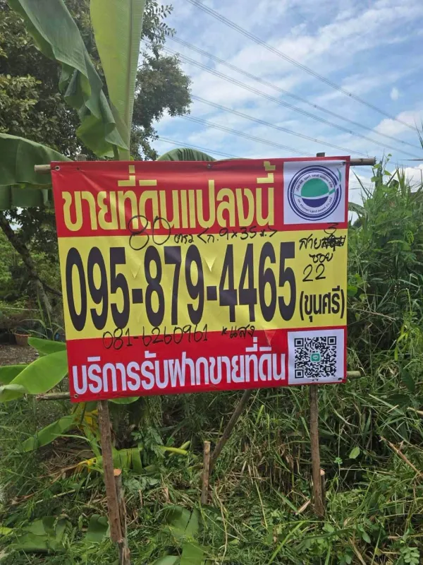 ขายถูกที่ดินตลิ่งชัน 80 ตรว ติดถนนคอนกรีตสาธารณะ ถมแล้ว  พุทธมณฑลสาย 3 ซอย 22 บางระมาด กรุงเทพฯ