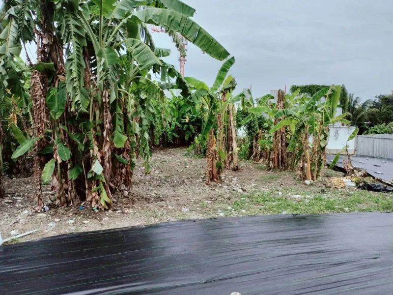 รูปที่4 ต้องการขายที่ดินเปล่า บางแคเหนือ เขตบางแค ราคา 19,360,000 บาท