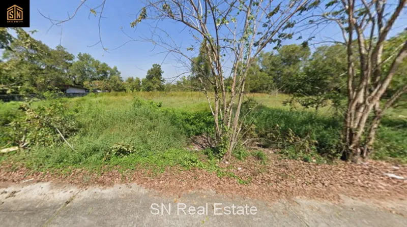 รูปที่5 ต้องการขายที่ดินเปล่า บึงกาสาม หนองเสือ ราคา 2,300,000 บาท