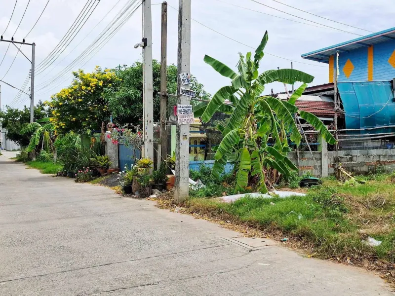 รูปที่3 ต้องการขายที่ดินเปล่า บางละมุง บางละมุง ราคา 1,150,000 บาท