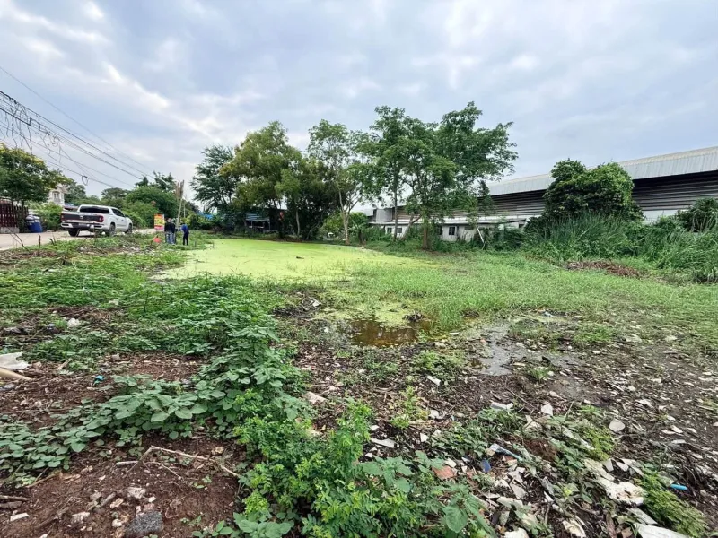 รูปที่7 ต้องการขายที่ดินเปล่า คลองสาม คลองหลวง ราคา 3,800,000 บาท
