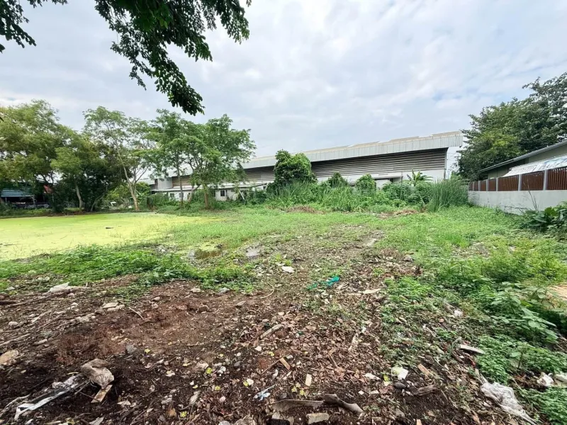 รูปที่8 ต้องการขายที่ดินเปล่า คลองสาม คลองหลวง ราคา 3,800,000 บาท