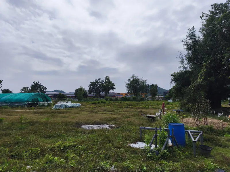 รูปที่5 ต้องการขายที่ดินเปล่า หนองชุมพล เขาย้อย ราคา 850,000 บาท