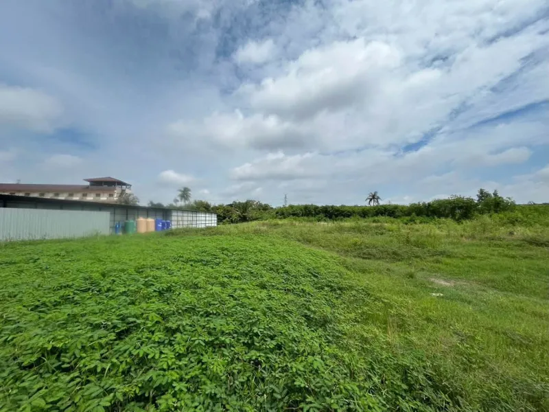 รูปที่7 ต้องการขายที่ดินเปล่า ท่าทราย เมืองสมุทรสาคร ราคา 19,600,000 บาท