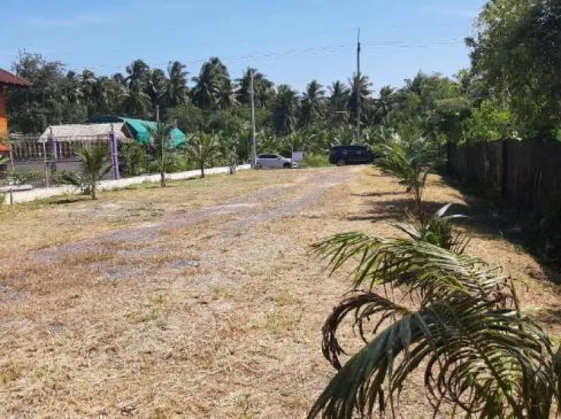 รูปที่2 ต้องการขายที่ดินเปล่า บางขันแตก เมืองสมุทรสงคราม ราคา 1,450,000 บาท