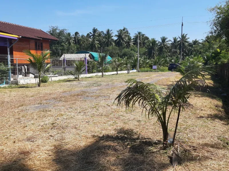 รูปที่4 ต้องการขายที่ดินเปล่า บางขันแตก เมืองสมุทรสงคราม ราคา 1,450,000 บาท