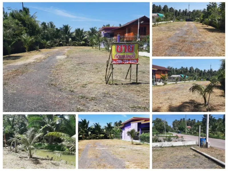 รูปที่8 ต้องการขายที่ดินเปล่า บางขันแตก เมืองสมุทรสงคราม ราคา 1,450,000 บาท