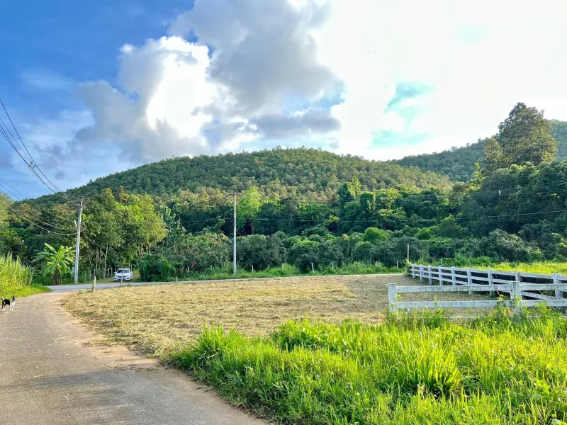 รูปที่8 ต้องการขายบ้านพร้อมที่ดิน ออนใต้ สันกำแพง ราคา 880,000 บาท