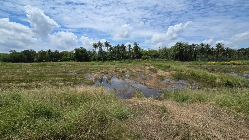 รูปภาพสินทรัพย์