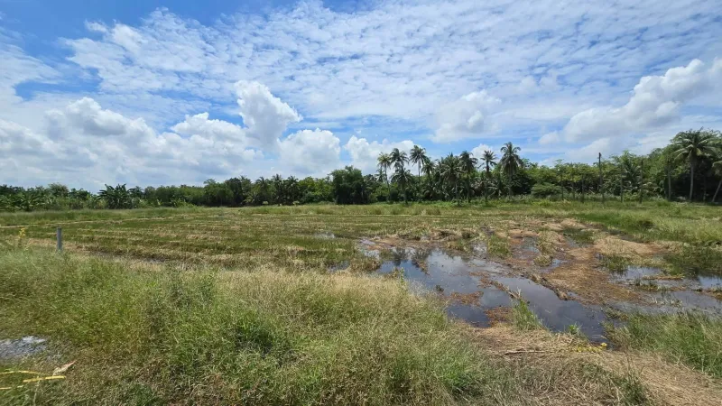 รูปที่3 ต้องการขายที่ดินเปล่า มหาสวัสดิ์ พุทธมณฑล ราคา 7,800,000 บาท