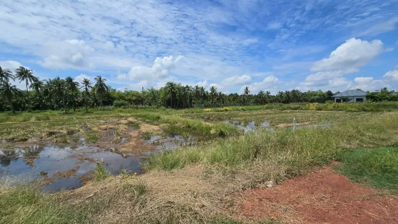 รูปที่5 ต้องการขายที่ดินเปล่า มหาสวัสดิ์ พุทธมณฑล ราคา 7,800,000 บาท