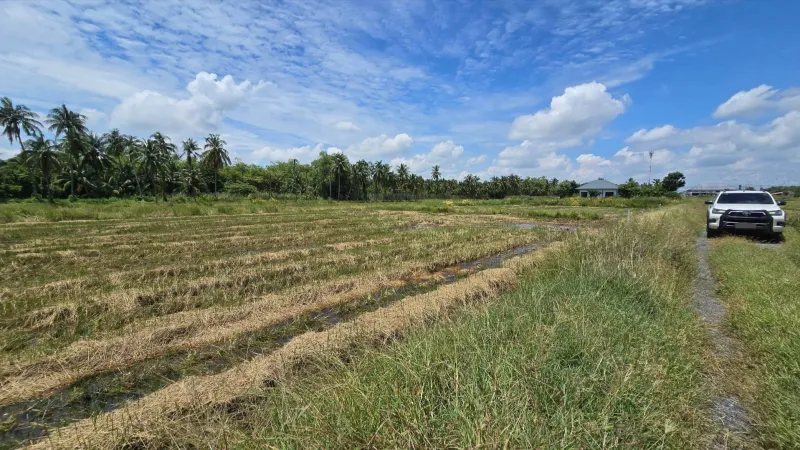 รูปที่6 ต้องการขายที่ดินเปล่า มหาสวัสดิ์ พุทธมณฑล ราคา 7,800,000 บาท