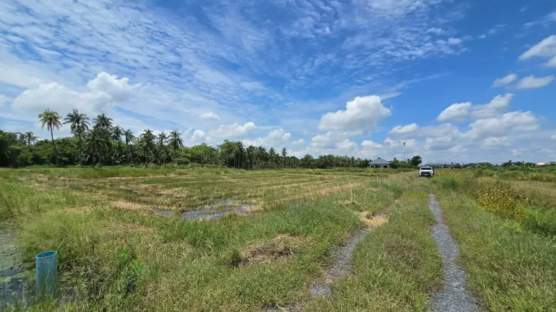 รูปที่7 ต้องการขายที่ดินเปล่า มหาสวัสดิ์ พุทธมณฑล ราคา 7,800,000 บาท