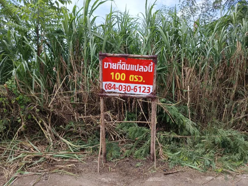 ขายที่ดินเปล่า 100 ตารางวา ใกล้ฝั่งถนนรังสิต-นครนายก ในซอยคลองสาม 1/5  ถนนเลียบคลองสาม คลองหลวง รังสิต ปทุมธานี