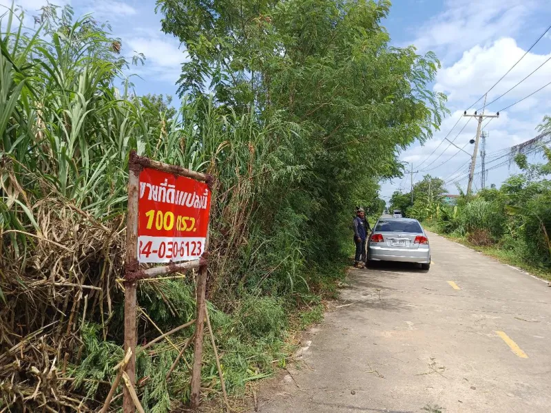 รูปที่2 ต้องการขายที่ดินเปล่า คลองสาม คลองหลวง ราคา 1,450,000 บาท