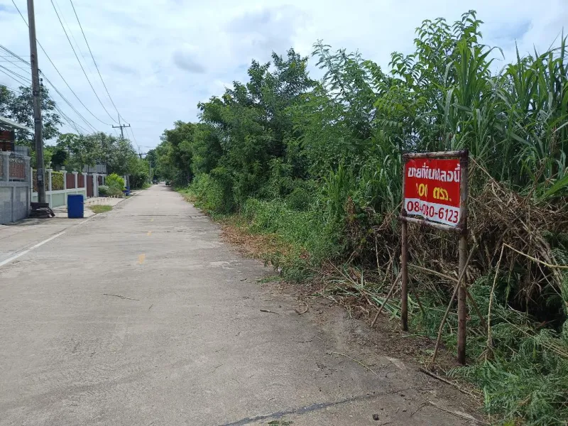 รูปที่3 ต้องการขายที่ดินเปล่า คลองสาม คลองหลวง ราคา 1,450,000 บาท
