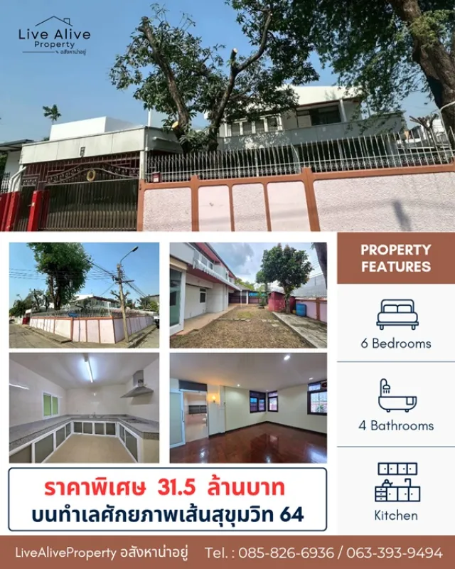 สินทรัพย์ศักยภาพสูง ทำเลทองสุขุมวิท ขายด่วน ! บ้านพร้อมที่ดินแปลงสวย ทำเลทองสุขุมวิท 64 แปลงหัวมุม สังคมบ้านหลังใหญ่ เข้า-ออกสะดวก