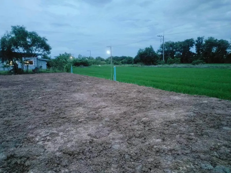 รูปที่7 ต้องการขายที่ดินเปล่า คลองสาม คลองหลวง ราคา 2,500,000 บาท