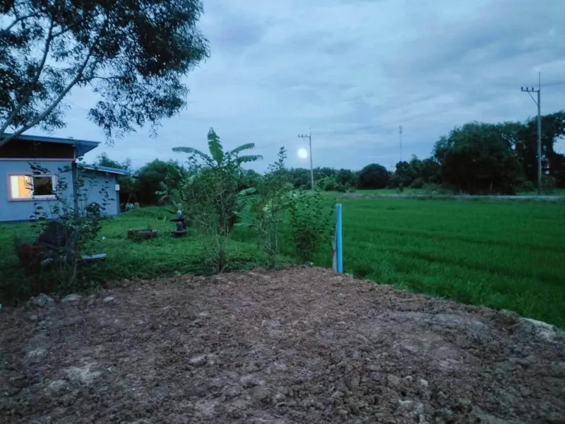 รูปที่8 ต้องการขายที่ดินเปล่า คลองสาม คลองหลวง ราคา 2,500,000 บาท