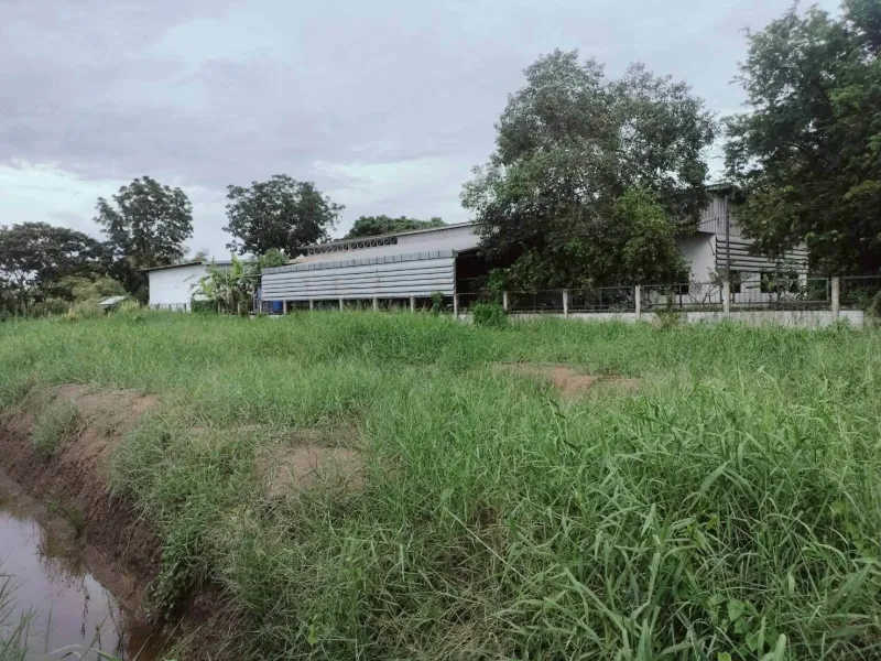 รูปที่5 ต้องการขายที่ดินเปล่า คลองห้า คลองหลวง ราคา 3,500,000 บาท
