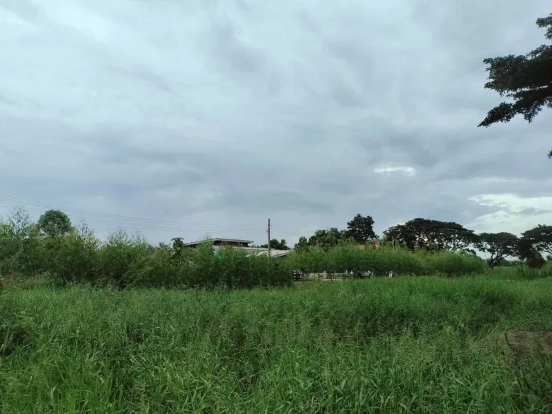 รูปที่7 ต้องการขายที่ดินเปล่า คลองห้า คลองหลวง ราคา 3,500,000 บาท
