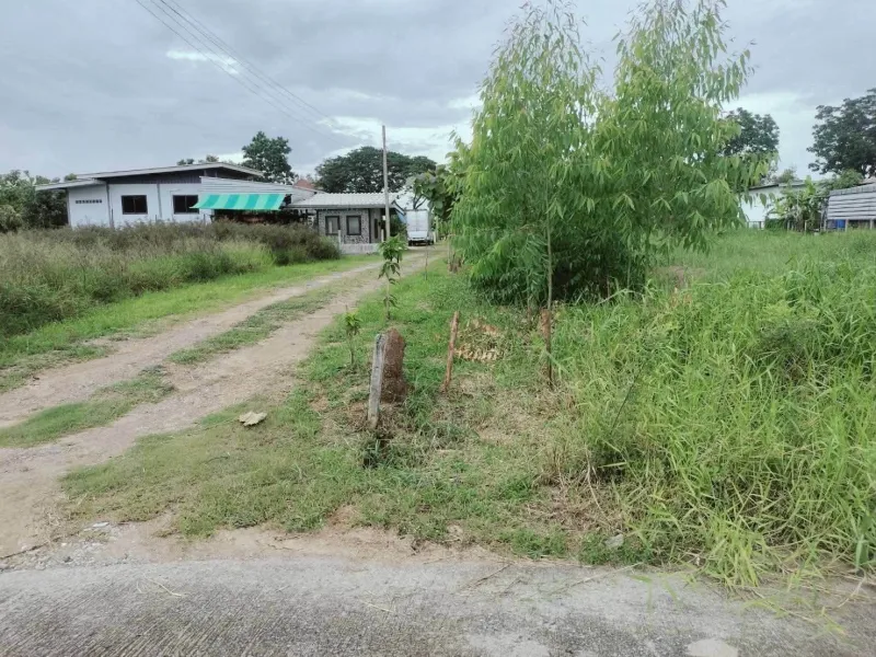 รูปที่8 ต้องการขายที่ดินเปล่า คลองห้า คลองหลวง ราคา 3,500,000 บาท