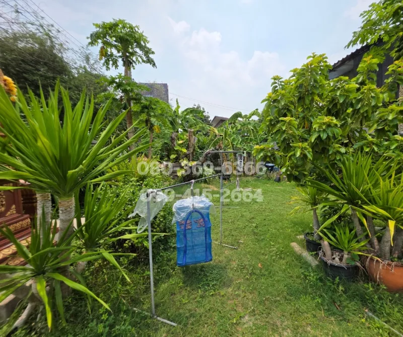 รูปที่6 ต้องการขายบ้านพร้อมที่ดิน บางนา* เขตพระโขนง ราคา 14,900,000 บาท