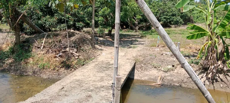 รูปที่3 ต้องการขายที่ดินเปล่า บ้านเรือน ป่าซาง ราคา 690,000 บาท