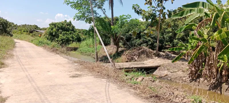 รูปที่5 ต้องการขายที่ดินเปล่า บ้านเรือน ป่าซาง ราคา 690,000 บาท