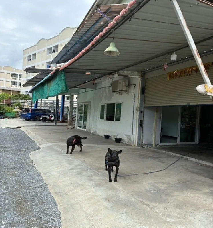 รูปที่2 ต้องการขายบ้านพร้อมที่ดิน สวนหลวง กระทุ่มแบน ราคา 13,000 บาท