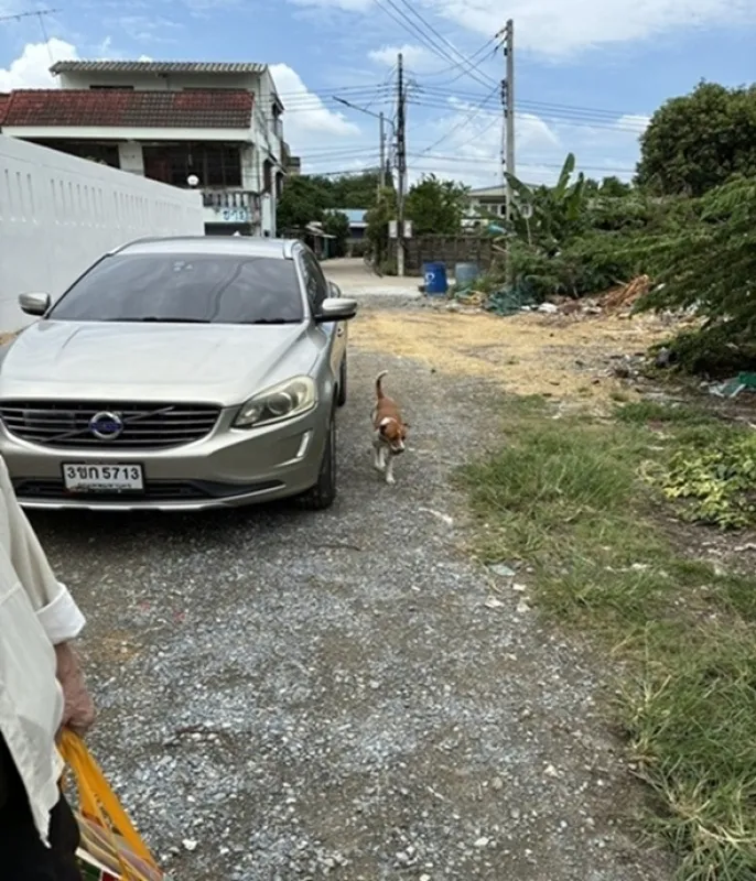 รูปที่5 ต้องการขายบ้านพร้อมที่ดิน สวนหลวง กระทุ่มแบน ราคา 13,000 บาท