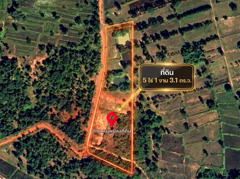 รูปที่7 ต้องการขายที่ดินเปล่า กุดชมภู พิบูลมังสาหาร ราคา 800,000 บาท