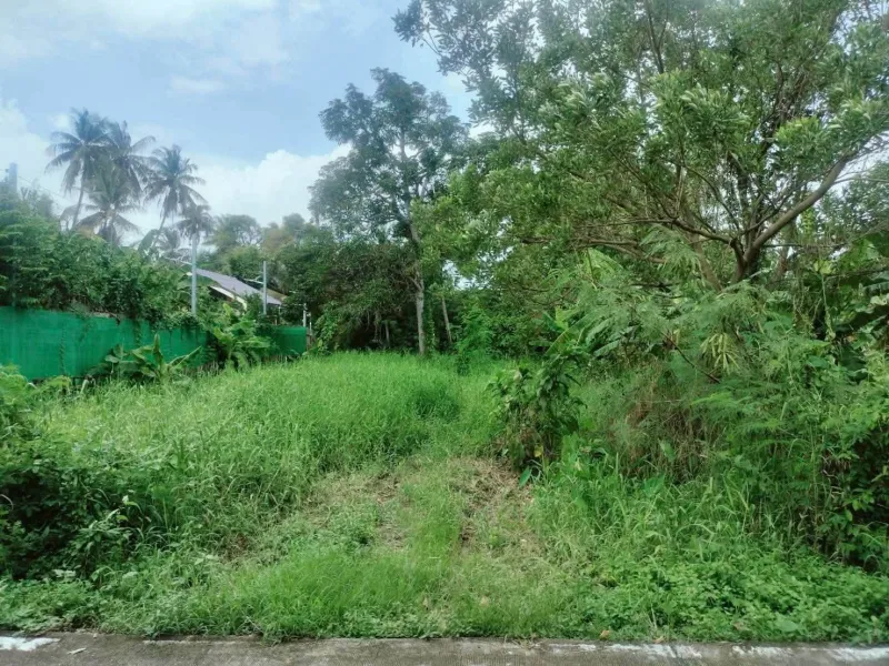 รูปที่3 ต้องการขายที่ดินเปล่า บางกร่าง เมืองนนทบุรี ราคา 30,000,000 บาท