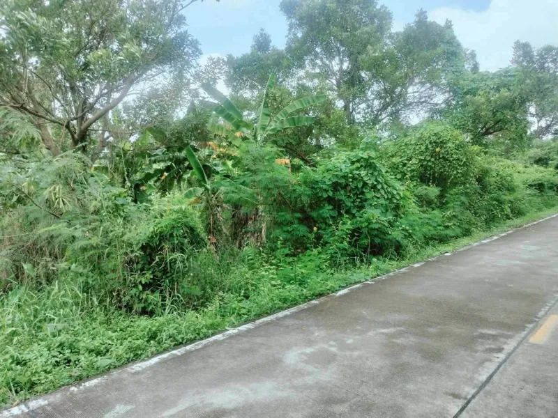 รูปที่5 ต้องการขายที่ดินเปล่า บางกร่าง เมืองนนทบุรี ราคา 30,000,000 บาท